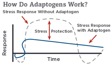 How Do Adaptogens Work?